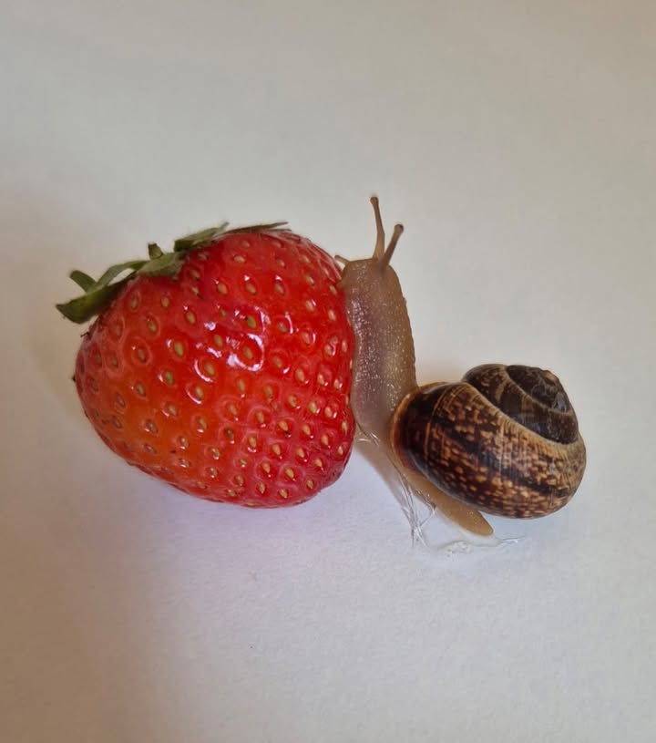 Przedszkole Terapeutyczne MIKRO
