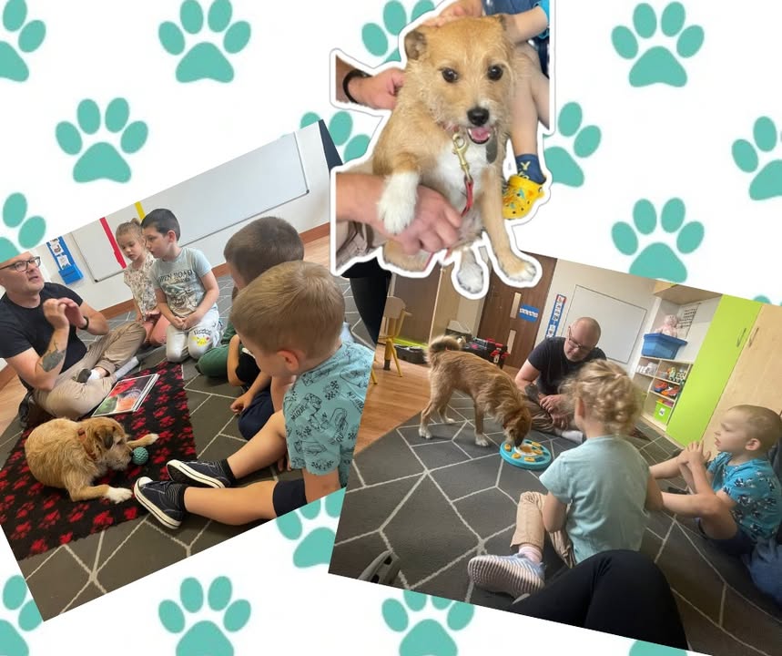 Niepubliczny Punkt Przedszkolny Mikro Płaszowska