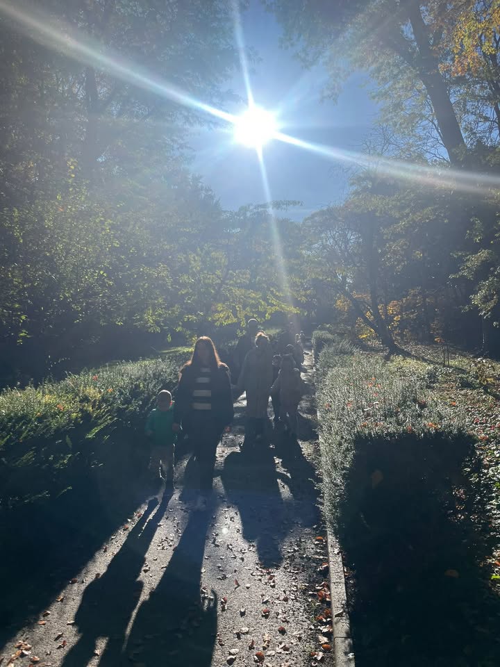 Niepubliczny Punkt Przedszkolny Mikro Płaszowska