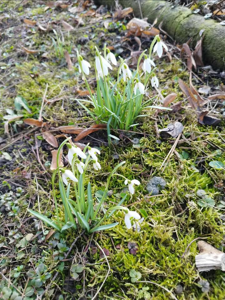 Niepubliczny Punkt Przedszkolny Mikro Wieliczka
