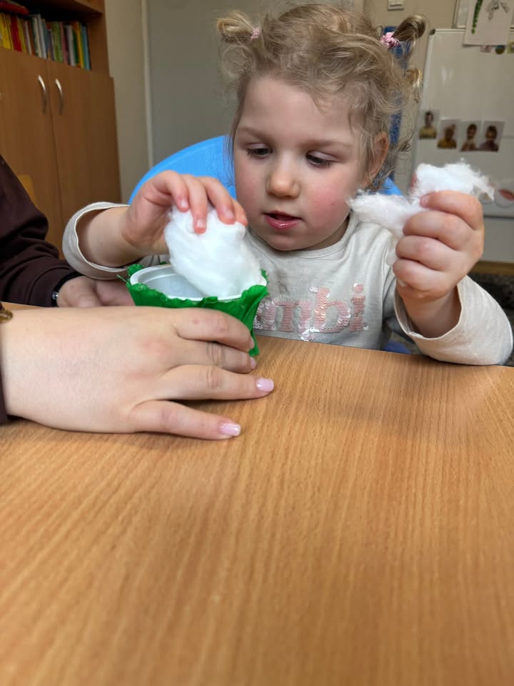 Niepubliczny Punkt Przedszkolny Mikro Wieliczka