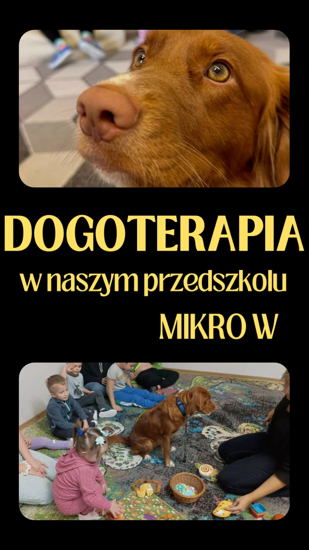 Niepubliczny Punkt Przedszkolny Mikro Wieliczka